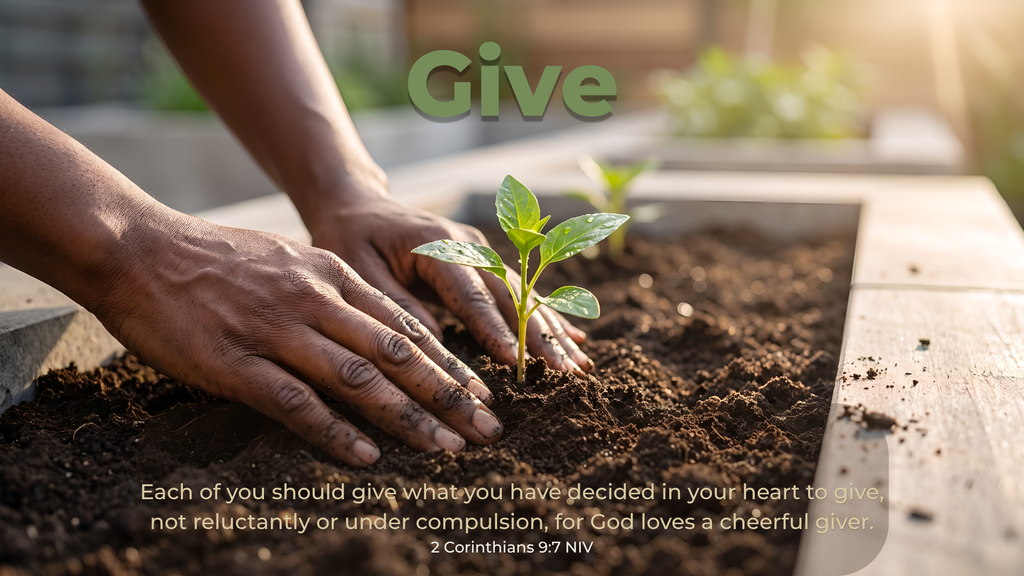 Hands planting a seedling in a garden bed with 2 Corinthians 9:7, Give to Apostle True Foundation in Severn, Maryland
